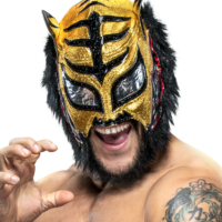 Lince Dorado